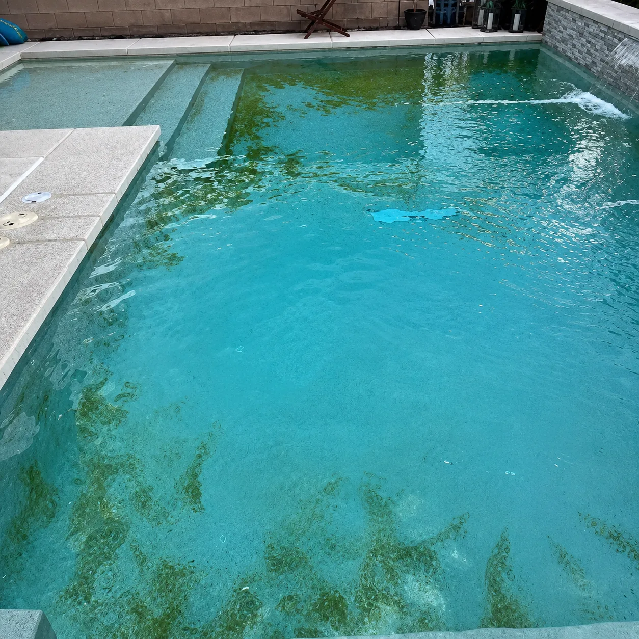 Residential pool with severe algae bloom, green cloudy water and algae on steps before AquaVision Pool Care service
